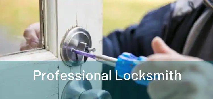  Professional Locksmith 